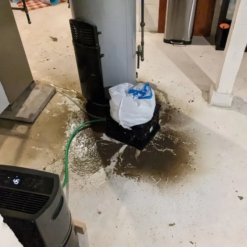 Sewage Backup Cleanup Service in Macungie, PA